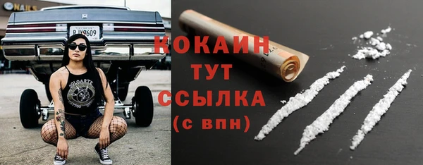 кокс Билибино
