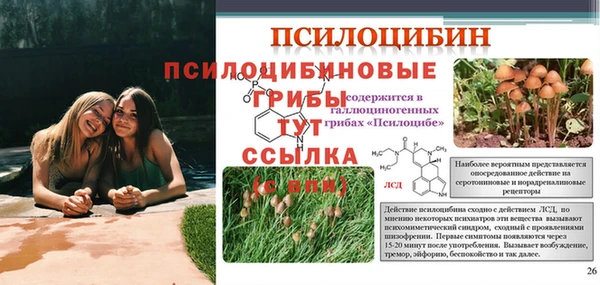 ешки Верея