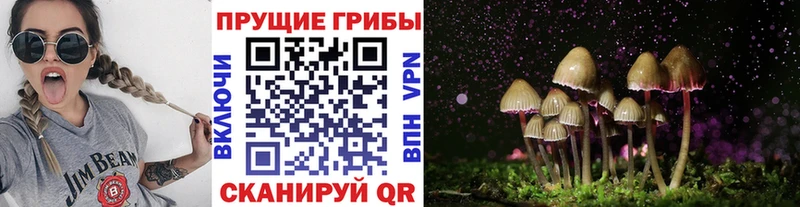 KRAKEN вход Кувшиново Псилоцибиновые грибы прущие грибы купить наркоту